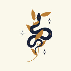 Magic snake with moon, star and crescents. Mystical symbols in a trendy minimalist style on a light background. Cosmic minimalistic scene with snake, branch, celestial bodies. © Iren Art