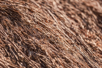 old thatched roof close-up as a background