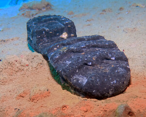 A boot on the wreck of the SS Thistlegorm in Red Sea, Egypt