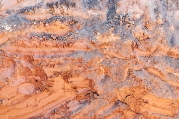 Soil on the ground as texture and background.