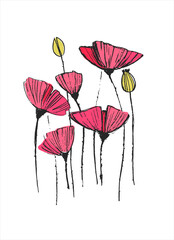 Floral printable art for clothing design, accessories, greeting cards, other design projects. Hand drawn poppy flowers