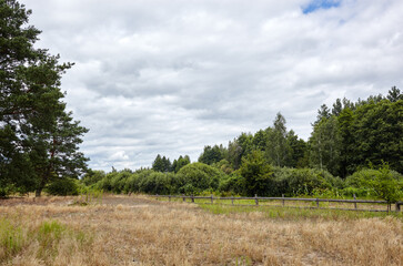 Old wooden corral against a blue sky on a sunny day. Grass paddock on farmland with wooden fence on...