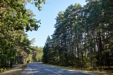 Asphalt winding country road near the forest. A bend road at rural Europe