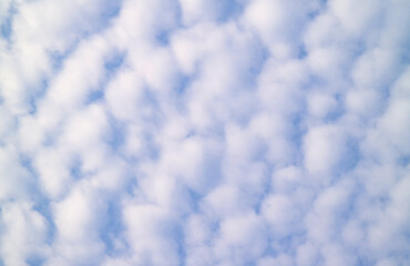 Incredible Cotton White Fluffy Altocumulus Clouds on Blue Sky - obrazy, fototapety, plakaty