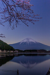 田貫湖から富士山と桜と星空