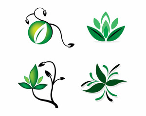 illustration of green leaves