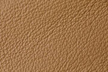 brown leather texture or background, useful for design-works