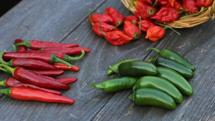 Fresh Peppers outdoors at rural farmers market, Jalapeno, Cayenne and Bhut Jolokia