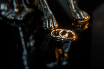Two golden wedding rings isolated on dark, wedding rings background concept.