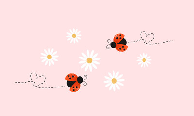 Ladybug and daisy flower on pink background vector.
