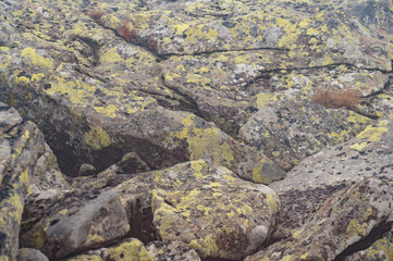 rock in the fog, texture of rock with moss.