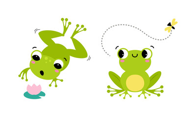 Cute little green baby frog jumping and catching fly with tongue set cartoon vector illustration