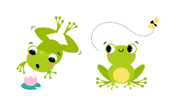 Cute little green baby frog jumping and catching fly with tongue set cartoon vector illustration