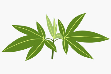 Simplicity cannabis plant freehand drawing flat design.