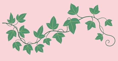 Simplicity ivy freehand drawing flat design.