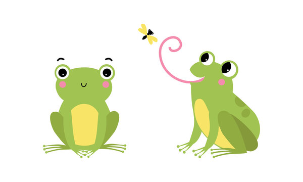 Cute little green baby frog sitting and catching fly with tongue cartoon vector illustration