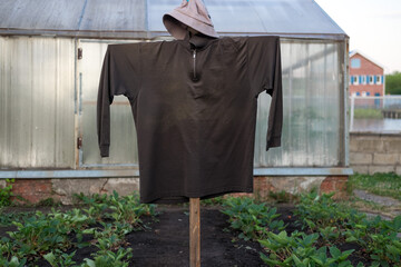 A scarecrow guards the harvest in the garden.