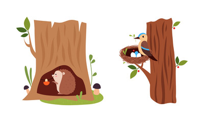 Bird incubating eggs in nest and hedgehog sitting in burrow set cartoon vector illustration