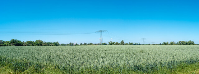 Panoramic view over beautiful wheat farm landscape with wind turbines to produce green energy and...