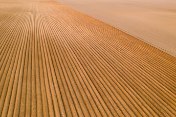 Aerial view of the agricultural field with furrows on soil at sunset