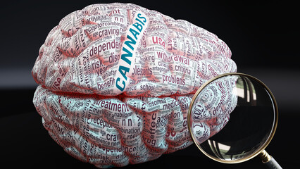 Fototapeta premium Cannabis in human brain, a concept showing hundreds of crucial words related to Cannabis projected onto a cortex to fully demonstrate broad extent of this condition, 3d illustration