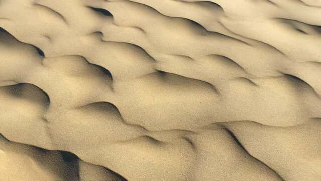 Wave shape of the sand of the Dune of Pilat created by the wind on a summer day on the Arcachon bay, France