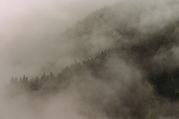 Nebelschwaden über den Wäldern in Südtirol