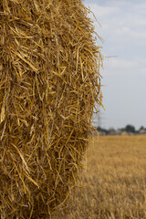 hay bale in the field as a vertical background