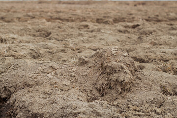 plowed field after harvest as a soil background