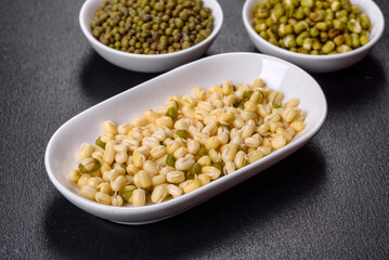 Organics fresh Baby Green Bean Sprouts in white ceramic bowl on a dark concrete background