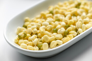 Organics fresh Baby Green Bean Sprouts in white ceramic bowl on a dark concrete background