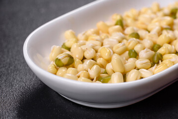 Organics fresh Baby Green Bean Sprouts in white ceramic bowl on a dark concrete background