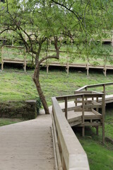 Path in an urban park