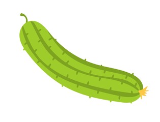 Cucumber Gardening Agriculture Vector illustration isolated on white background