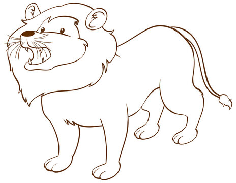 Lion in doodle simple style on white background