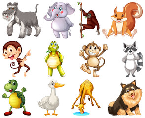 Set of animal cartoon character