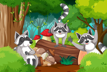 Forest scene wtih three raccoons on the log