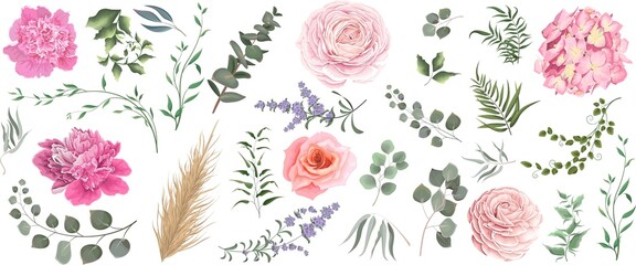 Vector grass and flower set. Eucalyptus, different plants and leaves, lavender, pink roses, hydrangea, peonies, ranunculus, dry wood. 