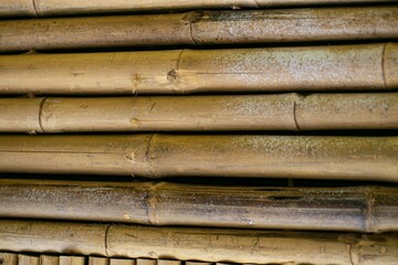 stack of bamboo