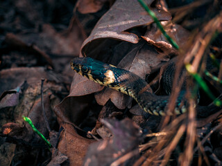 OLYMPUS DIGITAL CAMERA © Mateusz