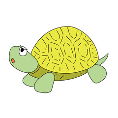 かめ　リクガメ