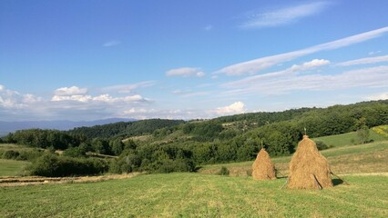 Fototapeta na wymiar Summer countryside landscape with haystacks 