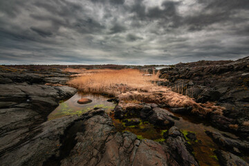In anticipation of the storms © DarekPiosik