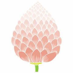 vector painting flower blooming beautiful floral