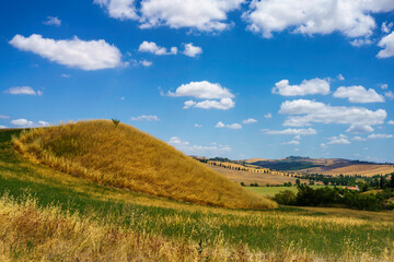 Rural landscape in Val d Orcia, Tuscany, Italy