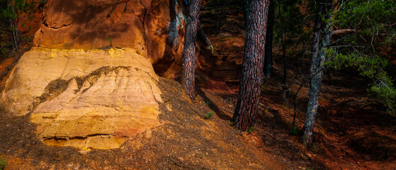 lanscape of roussillon provence  france showing a beautiful path in the pine trees with the red ochre soil .