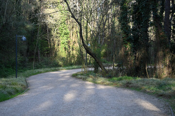 Fototapeta premium Ataturk urban forest national park sariyer-Istanbul-Turkey