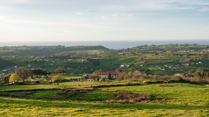 Fototapeta na wymiar Valle verde junto al mar en Asturias