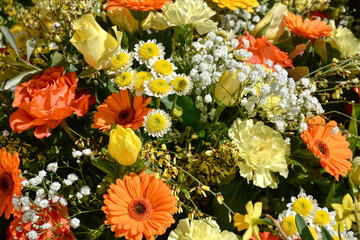 Blumen, Blumenschmuck, Frühlingsblumen, Blüten, Blütenpracht, bunt, Kelch, Blütenkelch,...