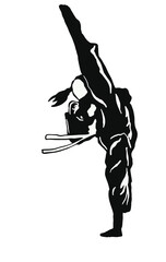 karate taekwondo illustration vector logo